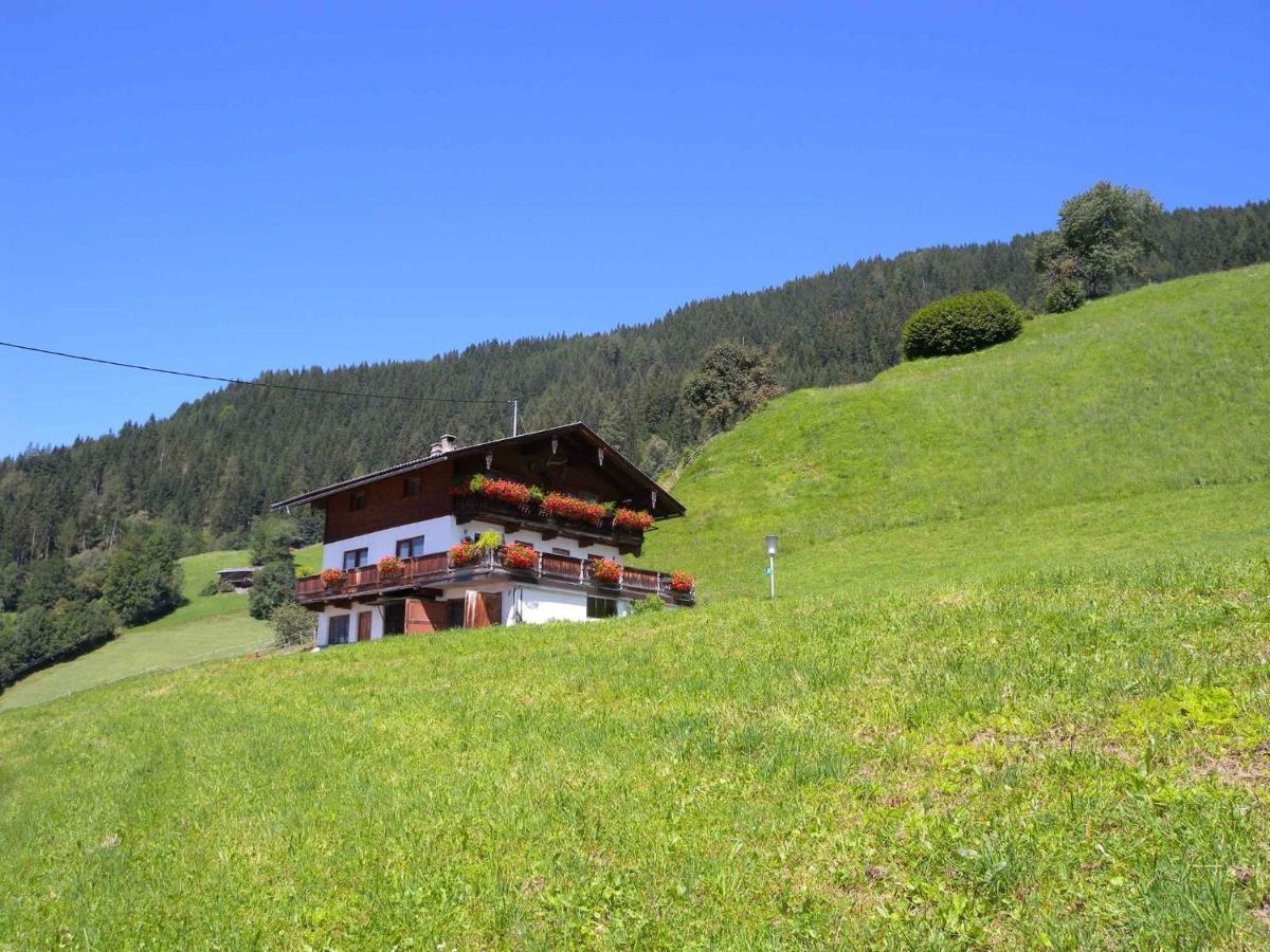 Apartments In Bruck Am Ziller/Zillertal 857 Grosshartberg Dış mekan fotoğraf